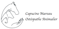 Capucine Mareau Osteopathe animalier Logo